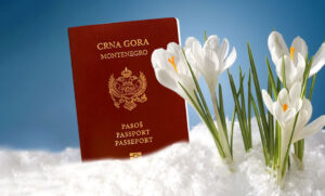 гражданство Черногории